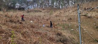 돈디아고(김덕수)님의 두릅 · 영농일지 작성글 사진