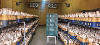 오●석님의 기타작물 · 영농일지 작성글 사진