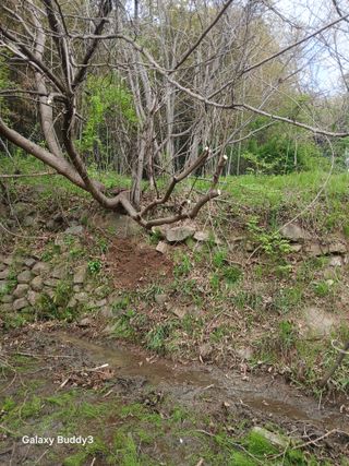 윤석돈님의 기타작물 · 영농일지 작성글 사진