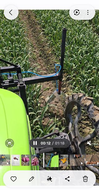 박민규님의 마늘 · 영농일지 작성글 사진