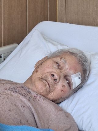 정도영님의 기타작물 · 영농일지 작성글 사진