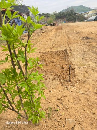 소병찬님의 상추 · 영농일지 작성글 사진