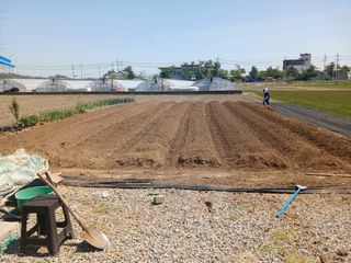 마늘11930님의 기타작물 · 영농일지 작성글 사진