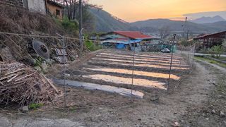  조약돌님의 옥수수 · 영농일지 작성글 사진