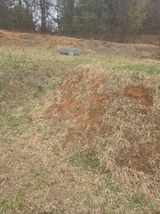 김연숙님의 작성글 사진