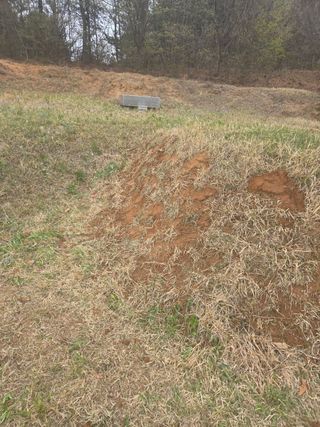 김연숙님의 기타작물 · 영농일지 작성글 사진