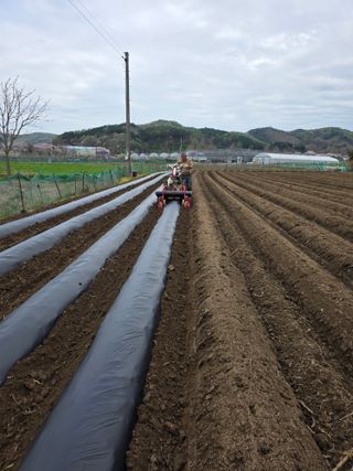 신호진님의 콩 · 영농일지 작성글 사진
