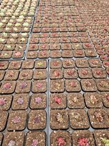 신상섭님의 작성글 사진