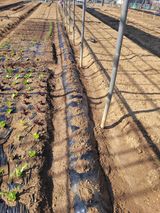 김춘성님의 작성글 사진