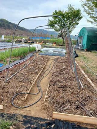 땅콩맘님의 기타작물 · 영농일지 작성글 사진