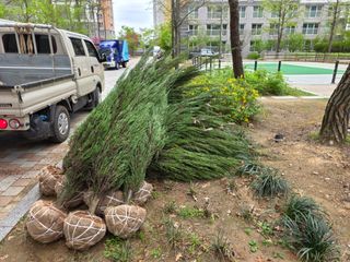 행복한나무농장님의 기타작물 · 영농일지 작성글 사진
