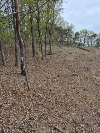 엉뚱님의 기타작물 · 영농일지 작성글 사진