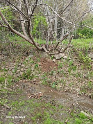 윤석돈님의 기타작물 · 영농일지 작성글 사진