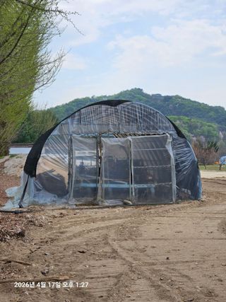 김병효님의 기타작물 · 영농일지 작성글 사진