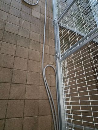 윤의용님의 기타작물 · 영농일지 작성글 사진