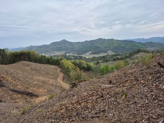 엉뚱님의 기타작물 · 영농일지 작성글 사진