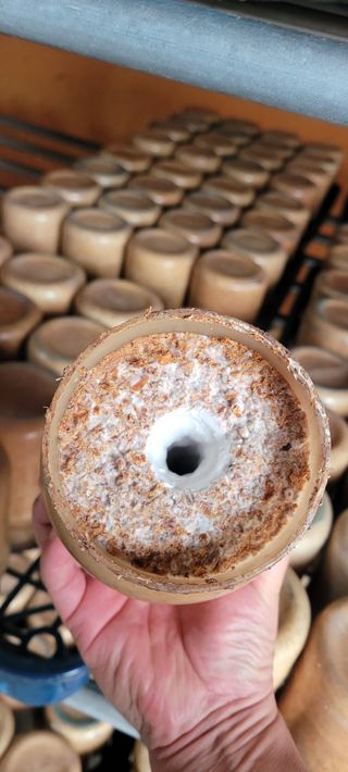 오●석님의 기타작물 · 영농일지 작성글 사진