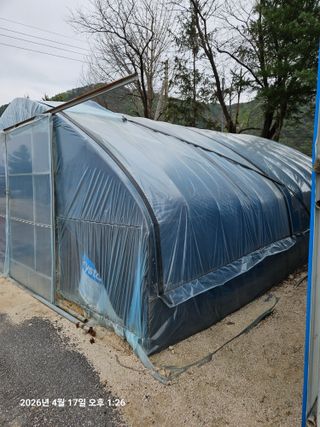 김병효님의 기타작물 · 영농일지 작성글 사진