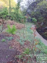 이말분님의 작성글 사진