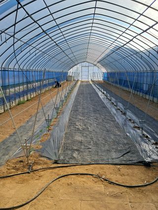 이도재님의 기타작물 · 영농일지 작성글 사진