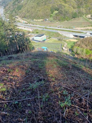 보공(김대호)님의 기타작물 · 영농일지 작성글 사진
