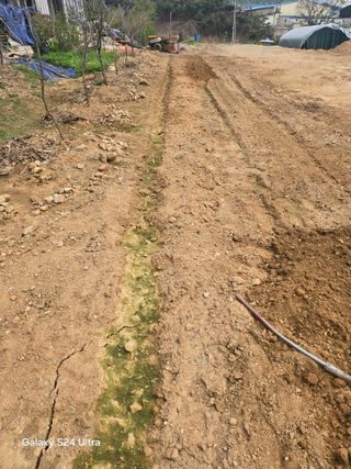 소병찬님의 상추 · 영농일지 작성글 사진