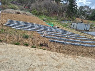 강윤석님의 기타작물 · 영농일지 작성글 사진