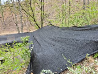 엉뚱님의 기타작물 · 영농일지 작성글 사진