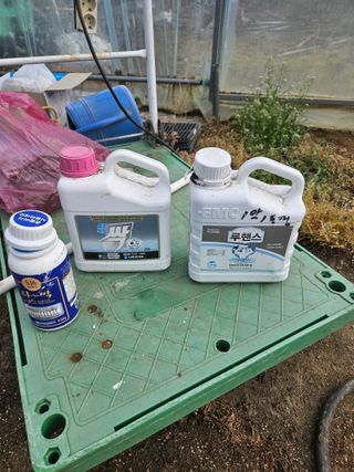 유제상님의 고추 · 영농일지 작성글 사진