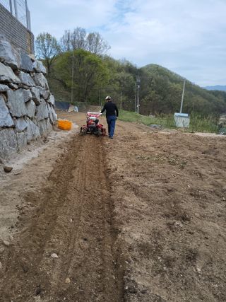 장거장님의 옥수수 · 영농일지 작성글 사진