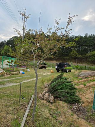 행복한나무농장님의 작성글 사진