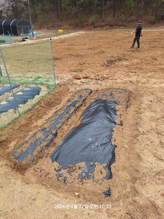 이수홍(이창희)님의 기타작물 · 영농일지 작성글 사진