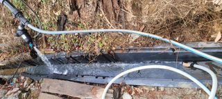 돈디아고(김덕수)님의 두릅 · 영농일지 작성글 사진