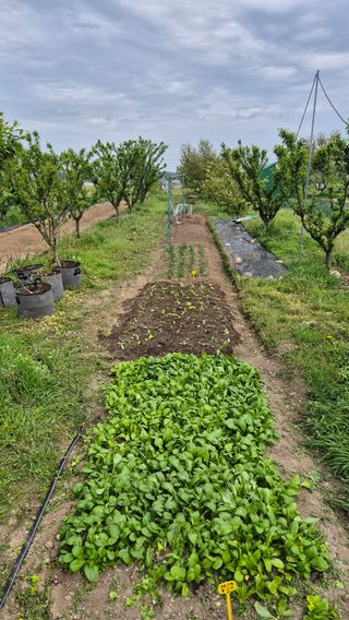 산수화풍님의 작성글 사진