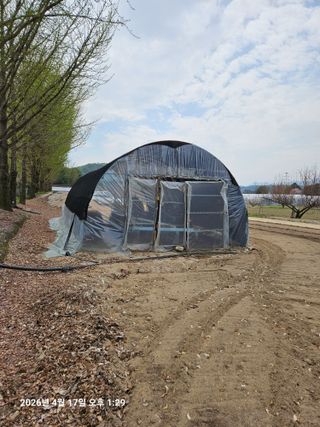 김병효님의 기타작물 · 영농일지 작성글 사진