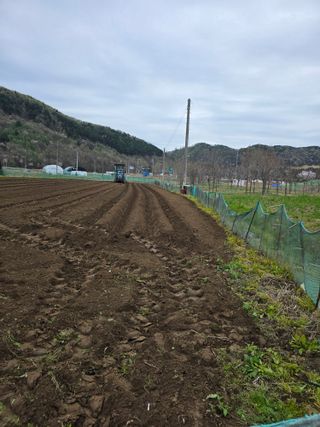 신호진님의 콩 · 영농일지 작성글 사진