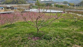 장정규님의 작성글 사진