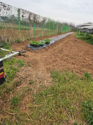 자연의치유님의 기타작물 · 영농일지 작성글 사진