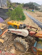 팜모닝 상추·영농일지 게시글 이미지