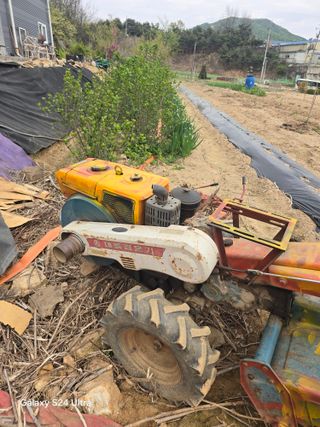 소병찬님의 상추 · 영농일지 작성글 사진