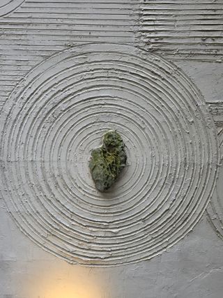 김영순님의 기타작물 · 영농일지 작성글 사진