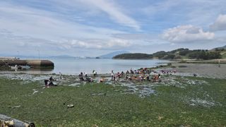 촌사리(김정대)님의 기타작물 · 영농일지 작성글 사진