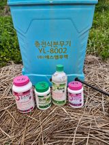 매실향기차향기님의 작성글 사진