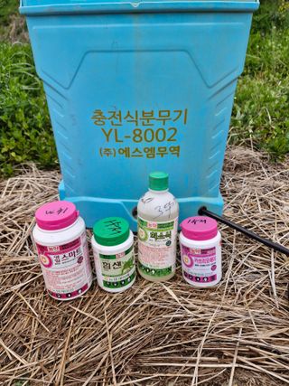 매실향기차향기님의 매실 · 영농일지 작성글 사진