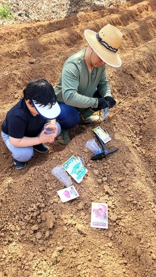 로만아빠님의 기타작물 · 영농일지 작성글 사진