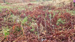 권혜전님의 기타작물 · 영농일지 작성글 사진