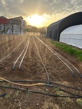 팜모닝 고추·영농일지 게시글 이미지