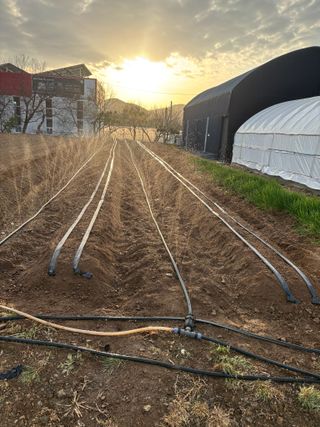 김영완님의 작성글 사진