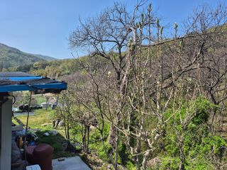 이준영님의 기타작물 · 영농일지 작성글 사진