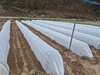 김기탁님의 기타작물 · 영농일지 작성글 사진